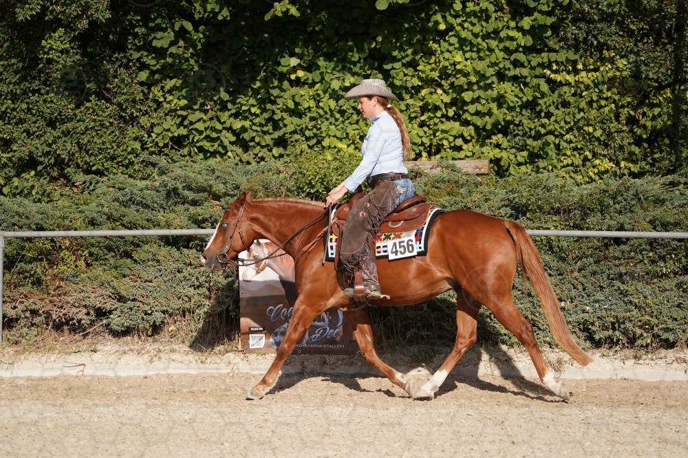 s_A_908444.JPG